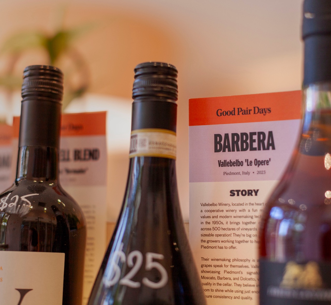 Wines lined up on the lit oak shelves at the Good Pair Days Surry Hills store